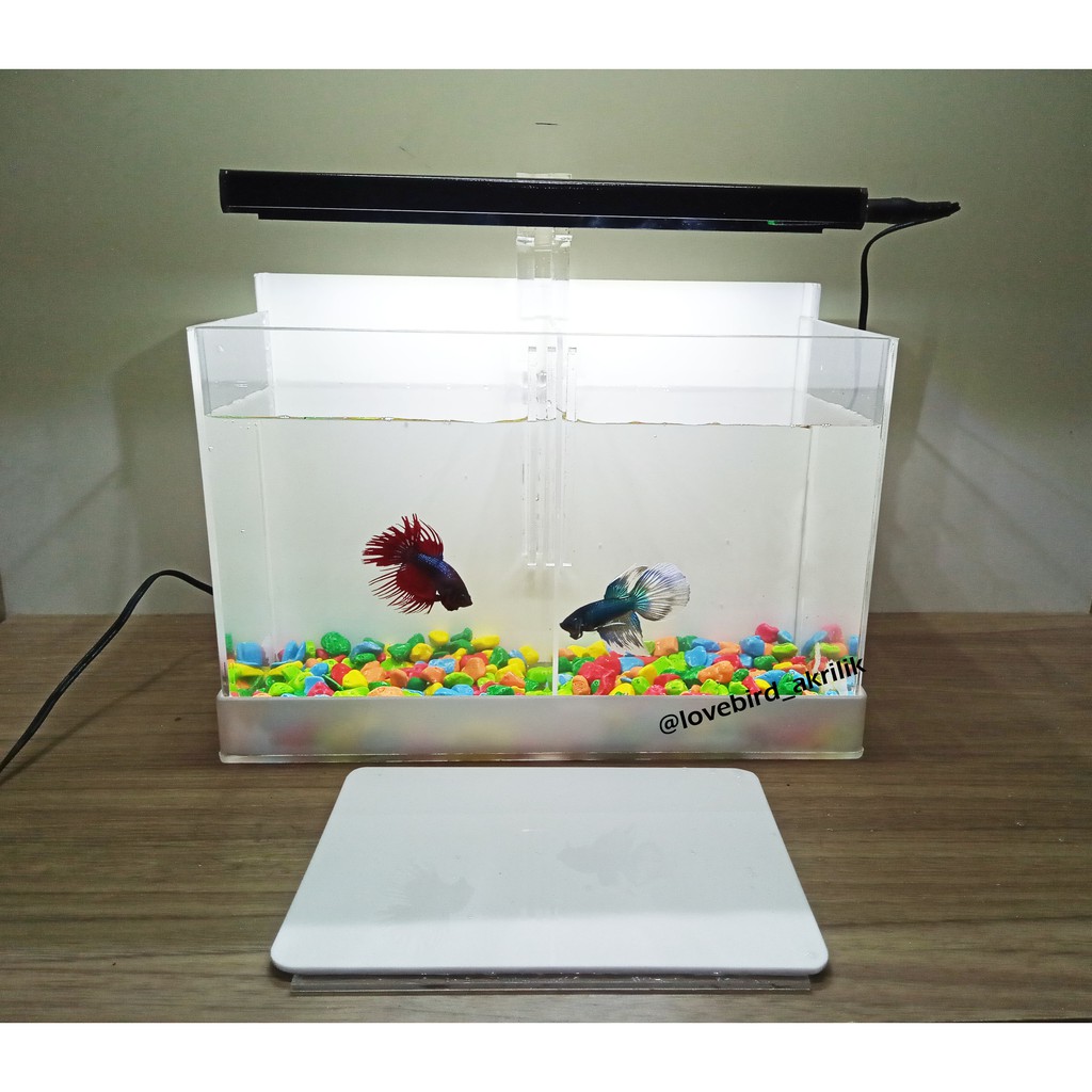 PROMOO Mini Akuarium Akrilik,  Aquarium mini Acrylic, Soliter Cupang, Mini Tank