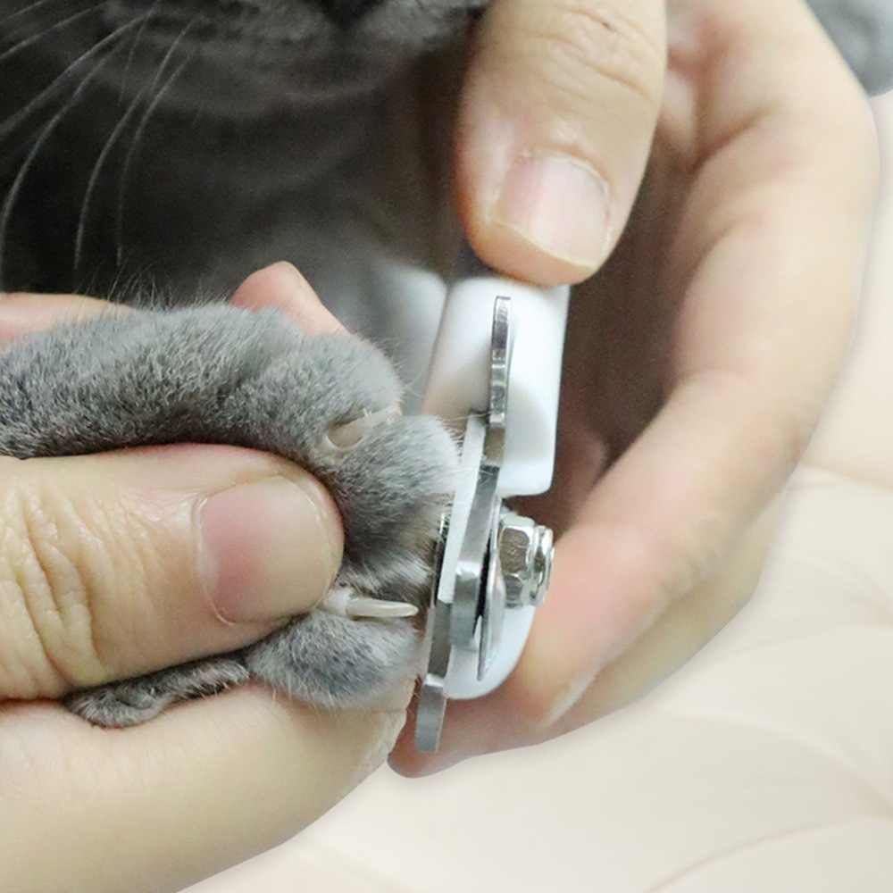 Gunting Kuku Anjing Kucing Kelinci plus kikir Profesional mudah akurat cepat Stainless Steel Professional Pet Cat Dog Nail Clipper Cutter Dog Stainless Steel Scissors Cat Toe Care Grooming Tools for Animals Pet Supplies Pet dog nail grinder Toe Care nail