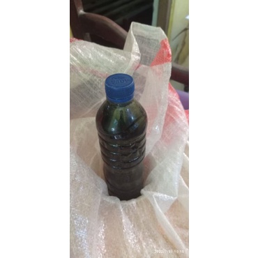 

Madu klanceng hutan baluran