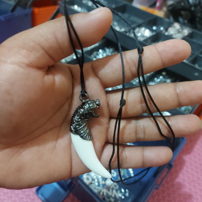 KALUNG TARING HARIMAU || KALUNG TALI BANDUL TARING TERLARIS