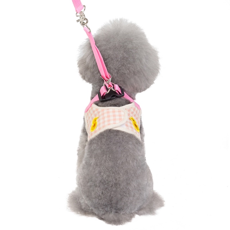 Ducky dodo harness leash set