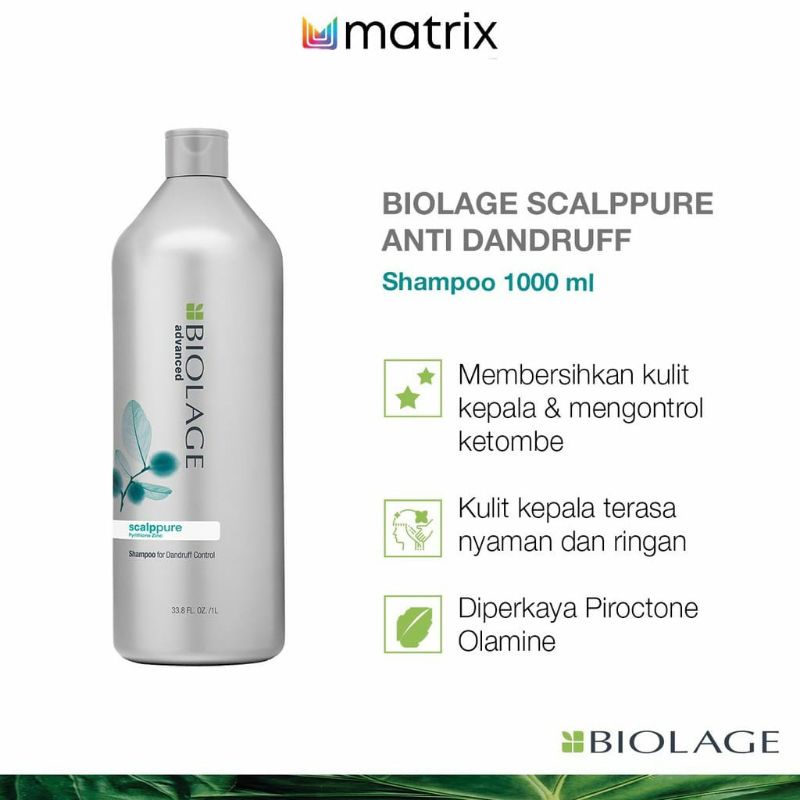 MATRIX SHAMPOO Biolage Scalppure Anti Dandruff 1000ML - Shampo Rambut Anti