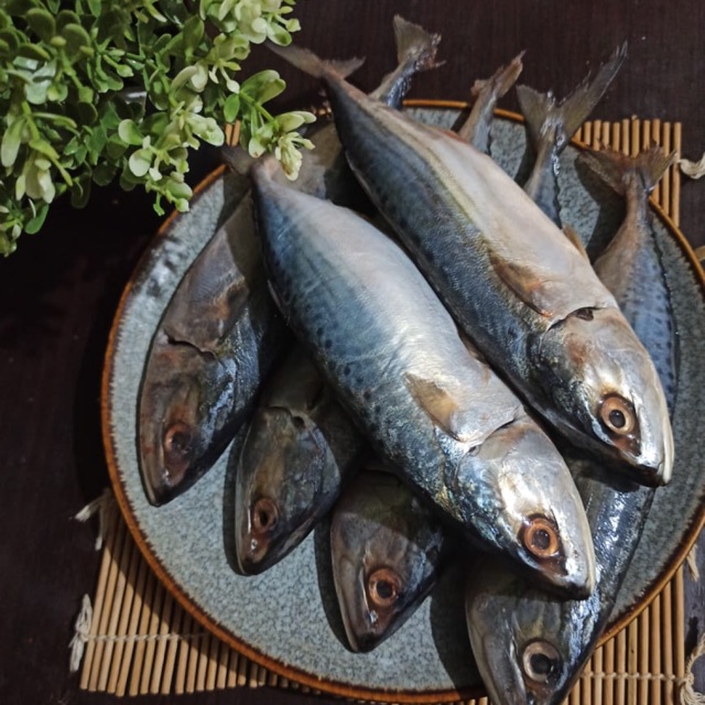 

Ikan Kembung