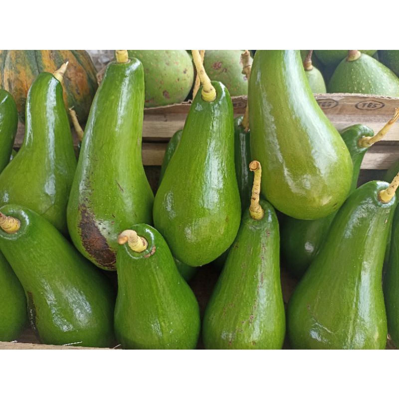 Buah Alpukat Aligator Asli Fresh 1kg