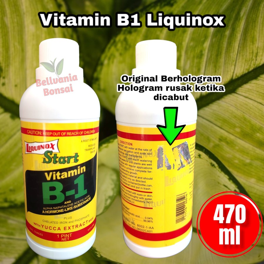 LIQUINOX VITAMIN B1 500ML HORMON PUPUK CAIR ZPT ORIGINAL USA
