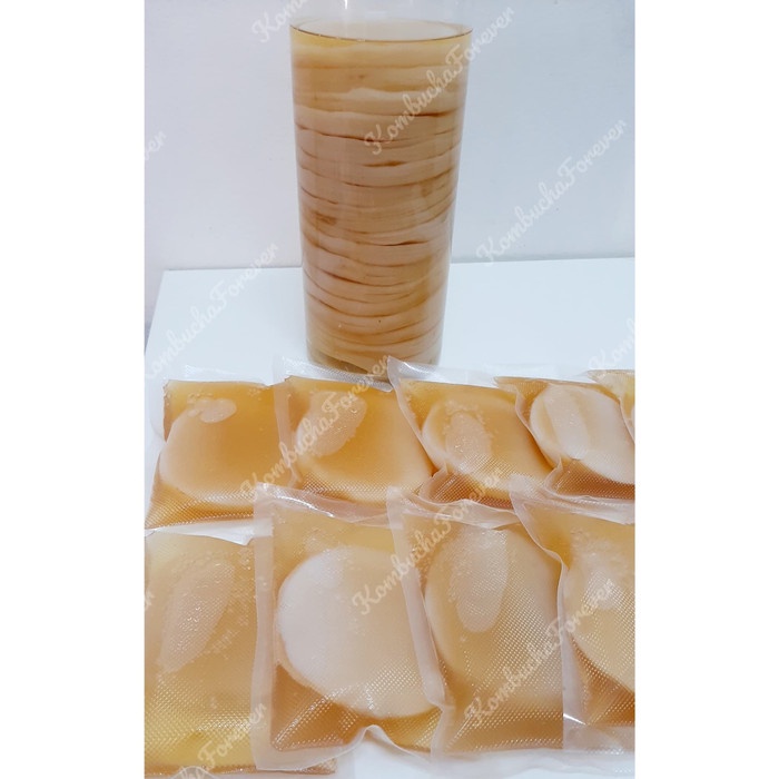

LAINNYA-KEMASAN-MINUMAN- BIBIT SCOBY JAMUR KOMBUCHA PREMIUM ORGANIK -MINUMAN-KEMASAN-LAINNYA.