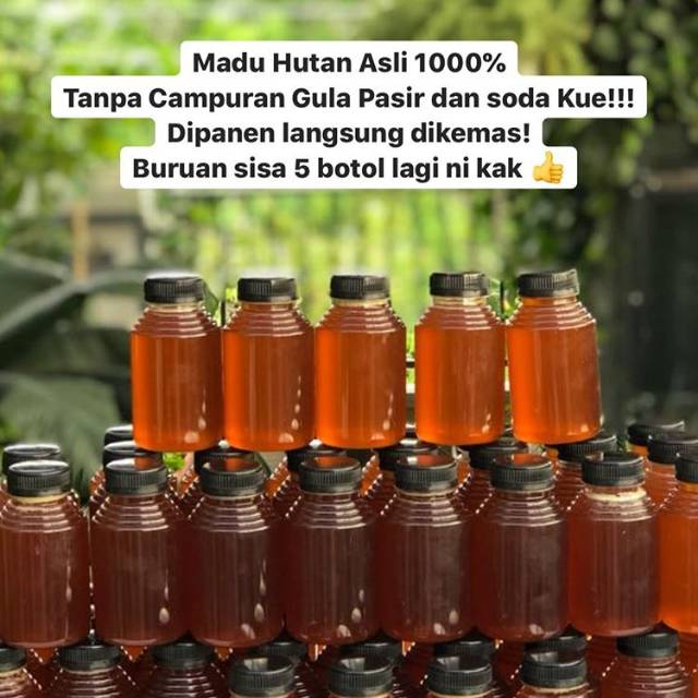 

MADU HUTAN 1000% ASLI