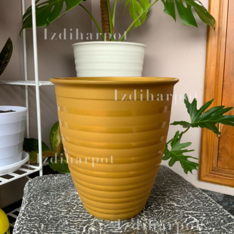 Pot bunga tanaman tawon gold tinggi 16 cm - taiwan BEE 165T GOLD