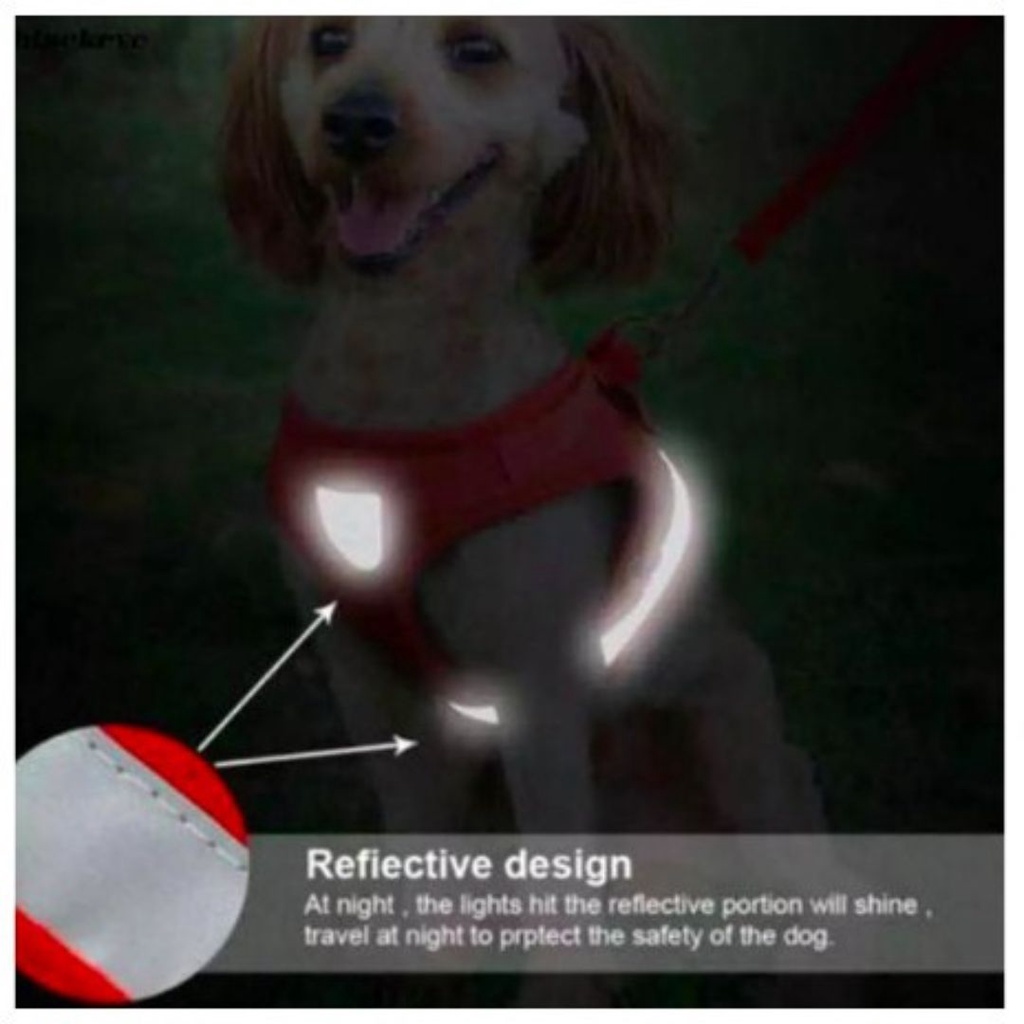 Harness Anjing Tali Tuntun Kucing Hewan Full Body Rompi Medium Leash Breathable FEZONE