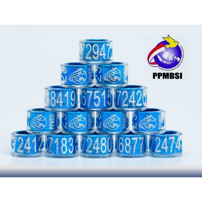 Ring Burung Merpati Balap Ring PPMBSI 2025 dan ring Jatim 2025 Ori | Cincin burung