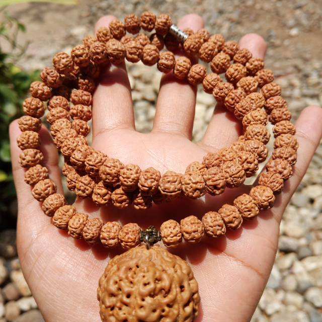 Kalung yoga jenitri genitri bandul biji besar original rudraksha