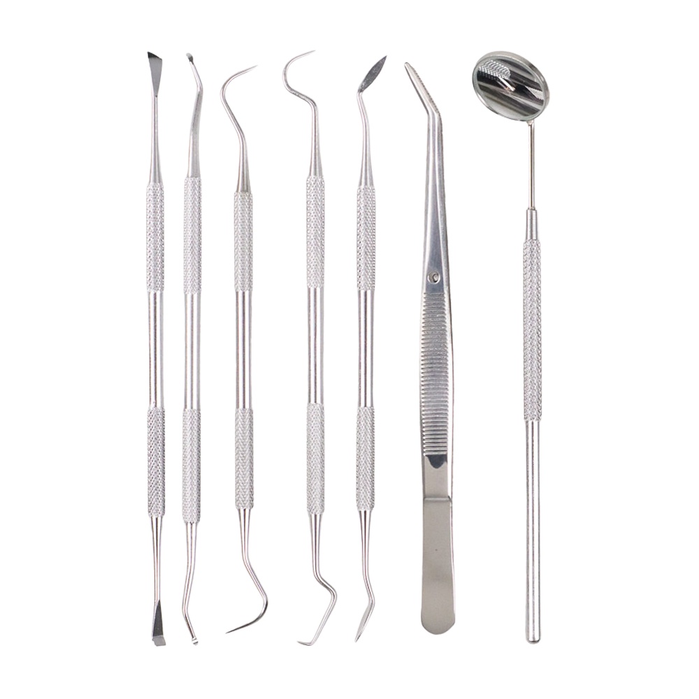 Alat Pembersih Gigi Set Dokter Gigi Dentist Dental Tool 7 PCS - 4012 - Silver