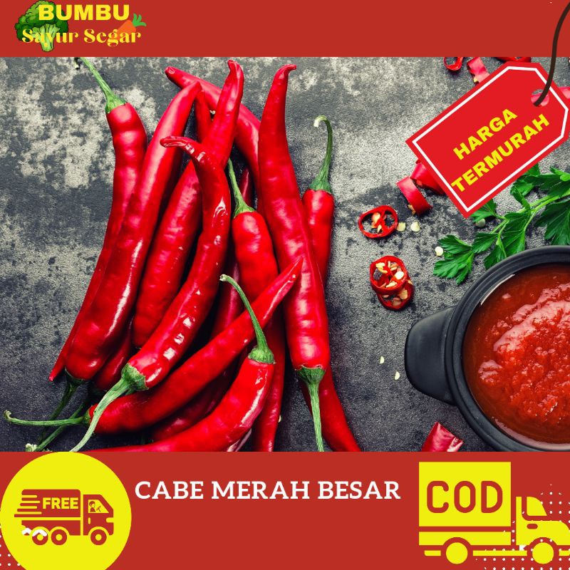 

CABE MERAH BESAR