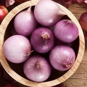 

+++++] bawang merah 1 kg