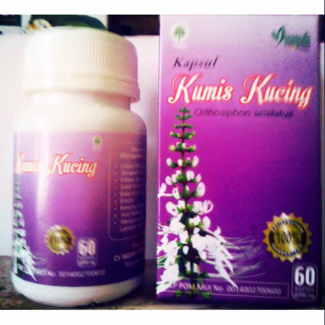 Kapsul KUMIS KUCING