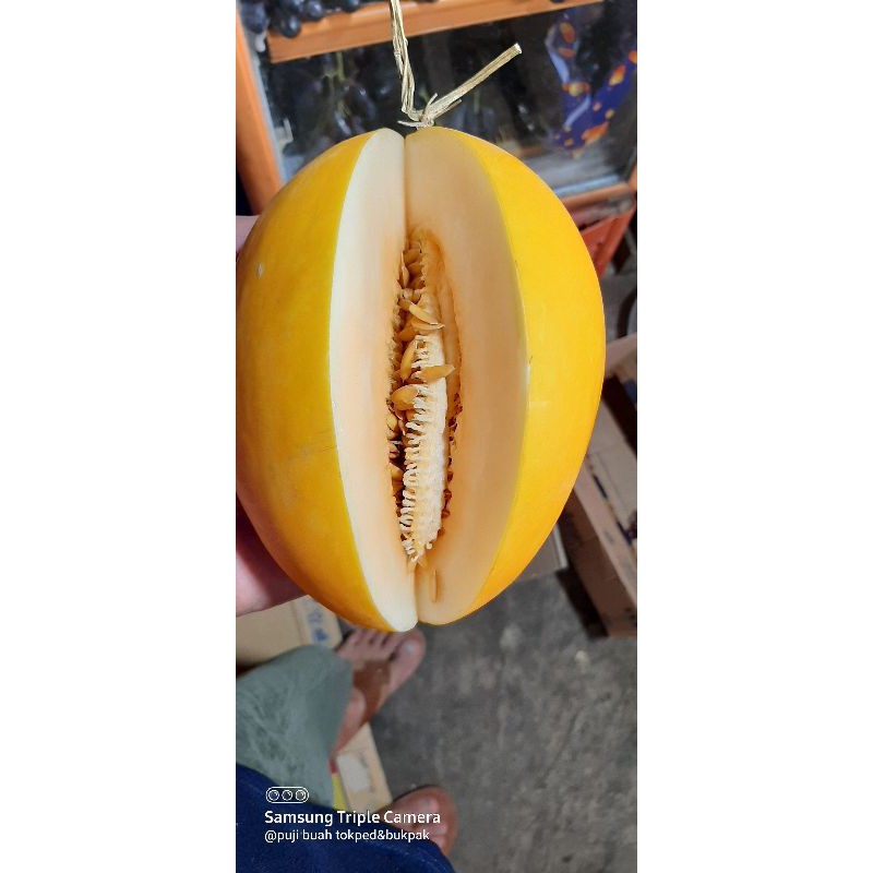 

melon golden