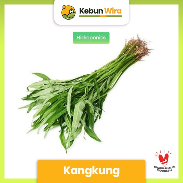 

Kangkung Hidroponik 200 gram Kebun Wira