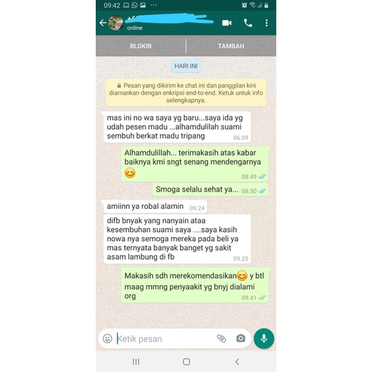 Obat Infeksi Lambung Luka Lambung GERD  Asam Lambung Maag Dispepsia Madu tripang kunyit-4