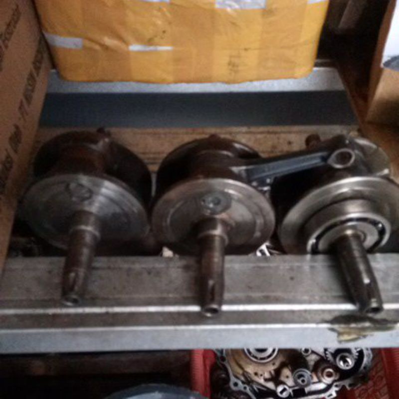 as kruk tiger std