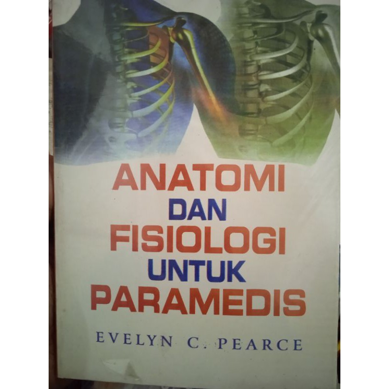 33+ Anatomi Fisiologi Evelyn