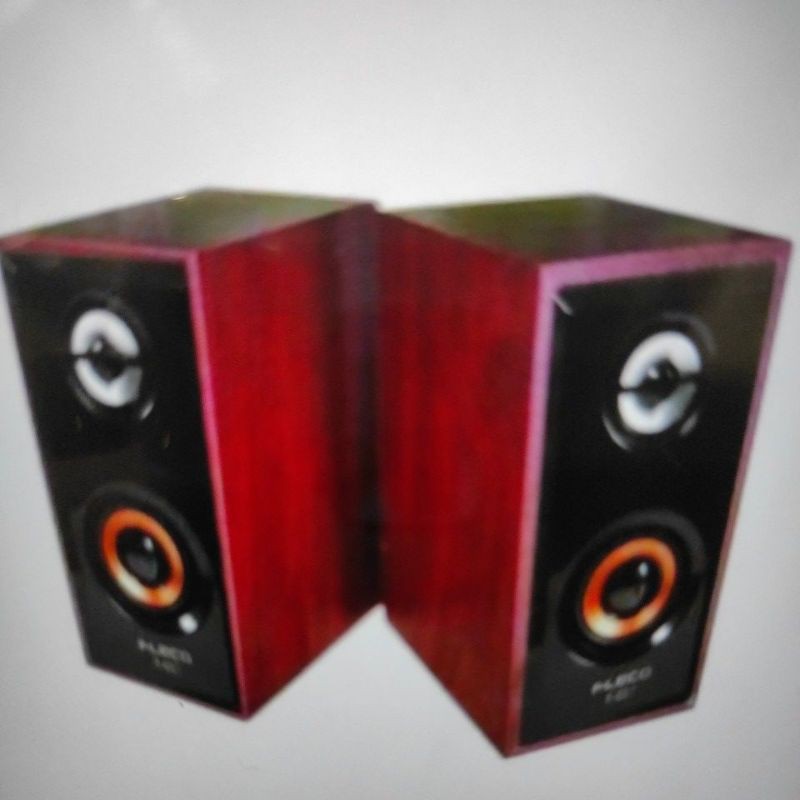 SPEAKER DAT 8INC 2 MIC WIRELESS