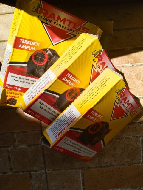 Racun Tikus Ramtus Asli Alami Mati Kering Tidak Bau Pembasmi Pengusir Tikus Super Paling Ampuh 2pack