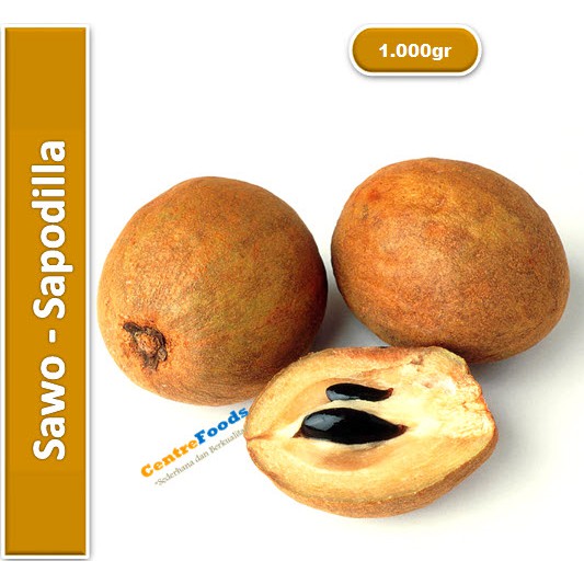 

Buah Sawo Manis - Sapodilla Fresh | 1.000gr [ Harga Per KG ]