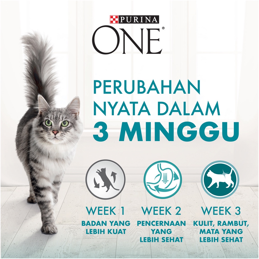 Purina ONE Healthy Kitten Chicken Makanan Kering Anak Kucing 1.2kg