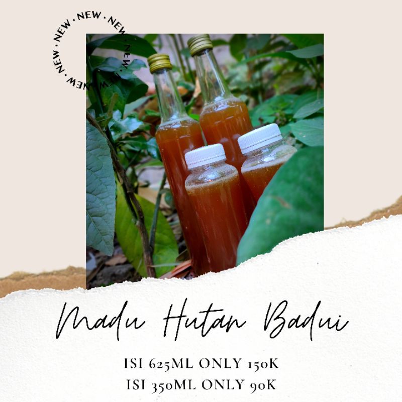 

Madu Asli Hutan Badui ukuran 625ml dan 350ml