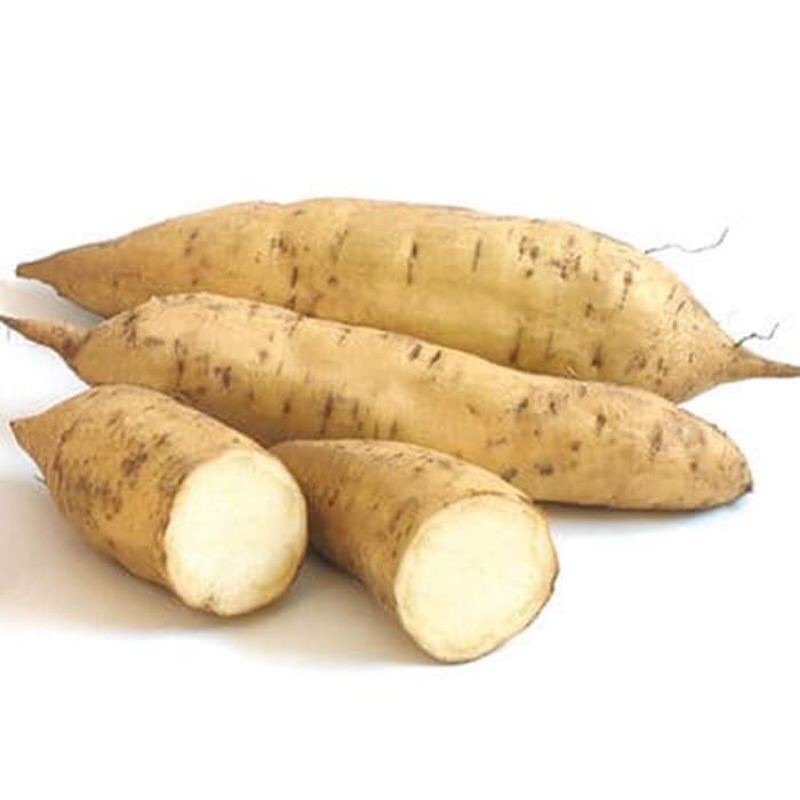

500 Gram Ubi Putih Segar Murah