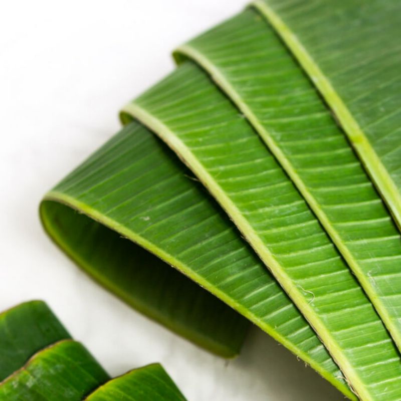 

Daun pisang Kepok Perpack Segar | Hasil Lampung