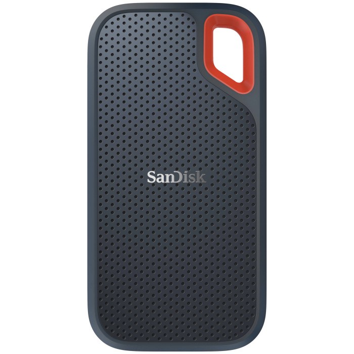 SanDisk Extreme E61 Portable SSD 4TB Type-C USB 3.1