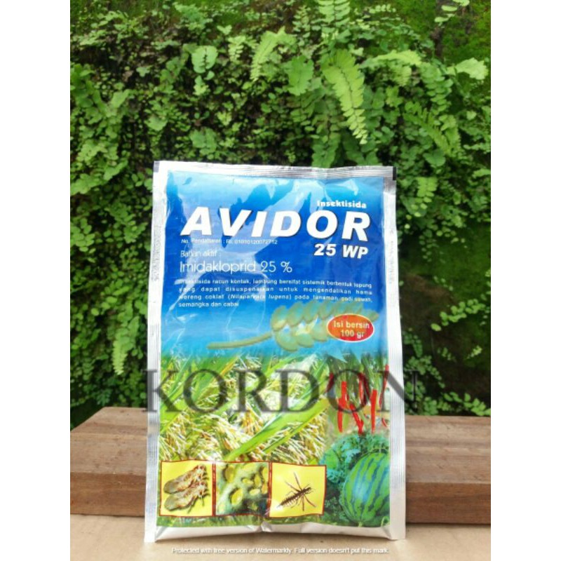 AVIDOR 25 wp