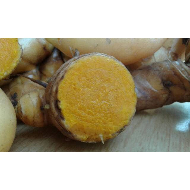 

Temulawak segar organik Temu lawak di ambil dari alam