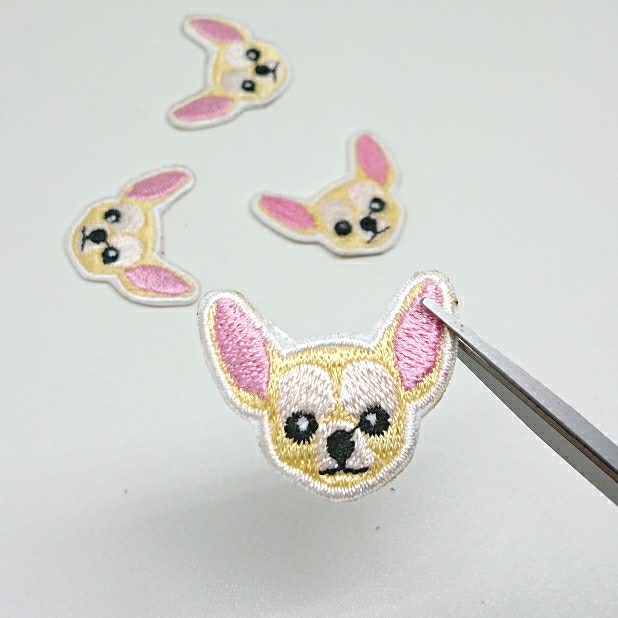 Iron Patch Chihuahua Dog