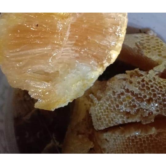 

MADU HUTAN ASLI MURNI UKURAN 1 LITER