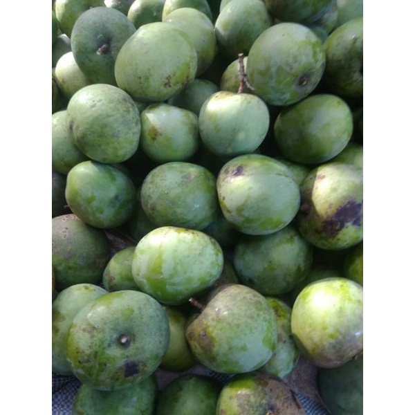 

mangga apel