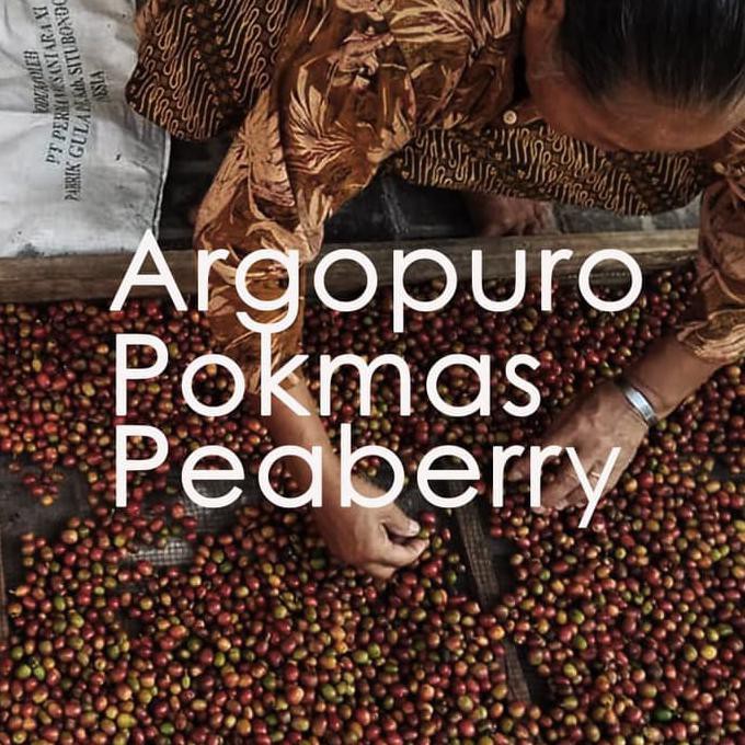 

Kopi Argopuro Situbondo Natural 200 gram, by IMAJI KOPI