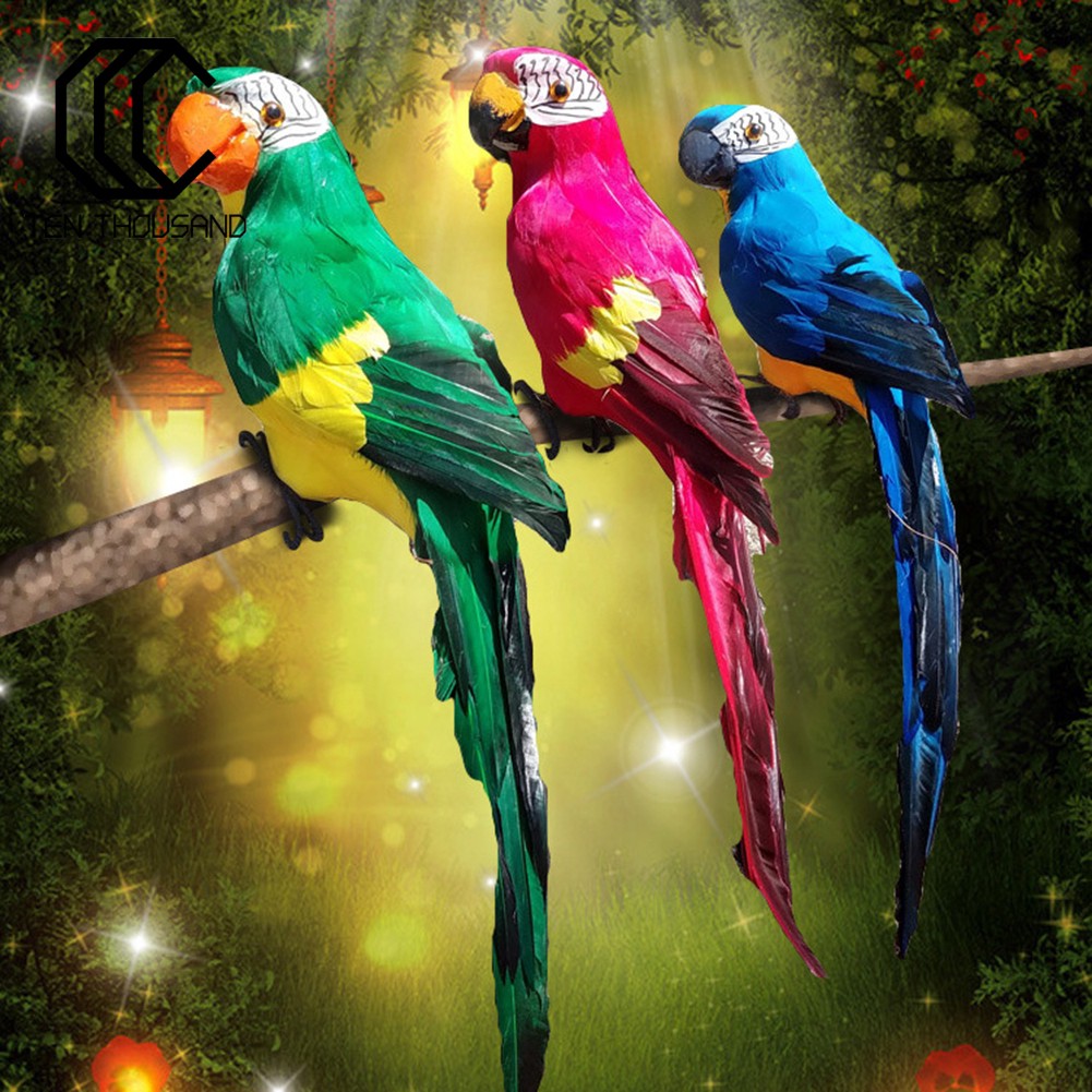 Kumpulan gambar untuk Belajar mewarnai: Gambar Burung Beo Warna Warni