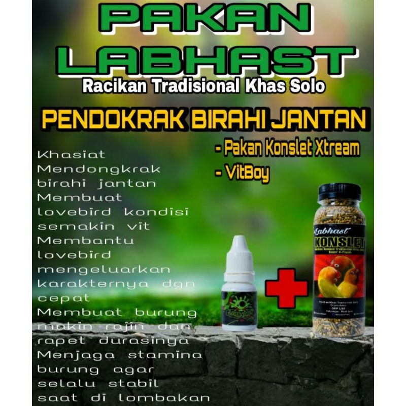 PAKAN KONSLET LOVEBIRD LABHAST