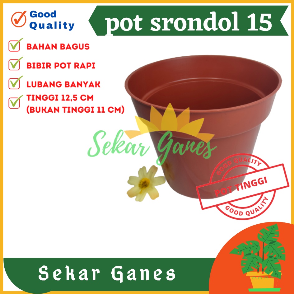 Pot Tinggi Srondol 15 Merah BataTerracota Terracotta Merah Coklat- Pot Tinggi Usa Eiffel Effiel 18 20 25 Lusinan Pot Tinggi Tirus 15 18 20 30 35 40 50 Cm Paket murah isi 1 lusin pot bunga plastik lusinan pot tanaman Pot Bibit Besar Mini Kecil Pot Srondol