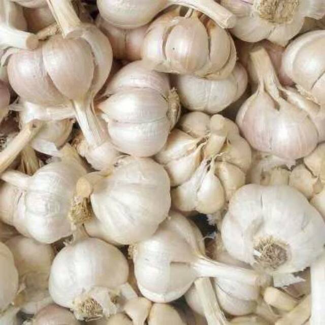 Bawang Putih 1 kg