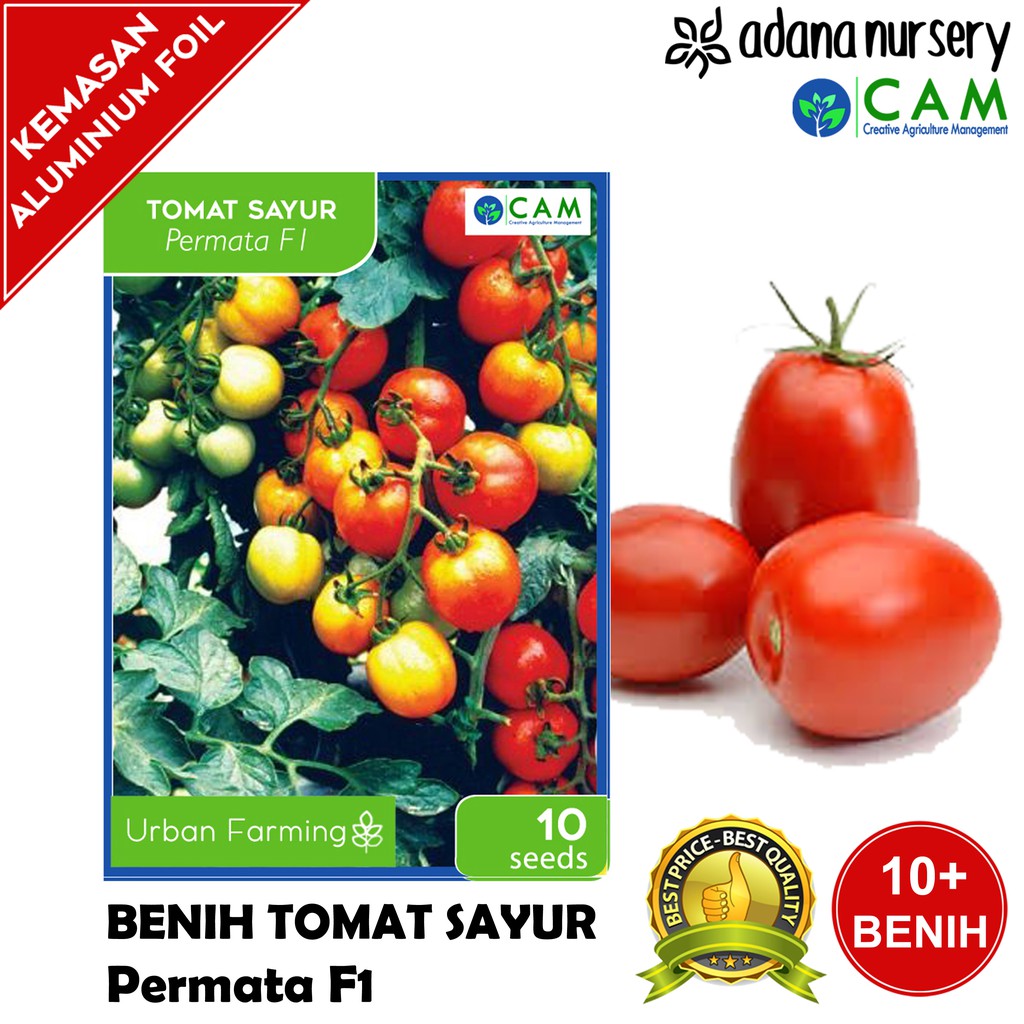 Benih / Biji Tomat Sayur Permata Repack - Berkualitas - 10 Seeds