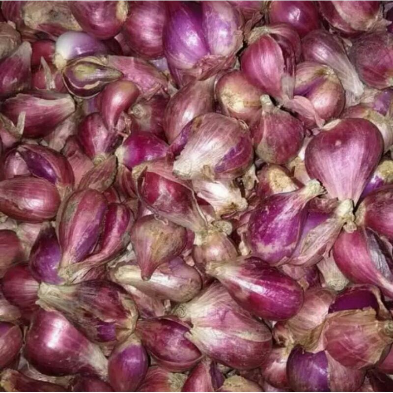 

Bawang merah nganjuk ukuran besar kering brambang Lokal 1kg BAWANG MERAH Nganjuk murah 1kg