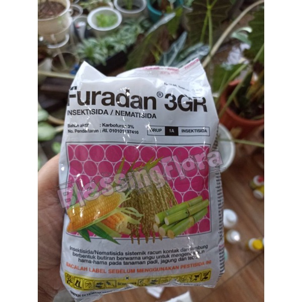 Furadan 1Kg