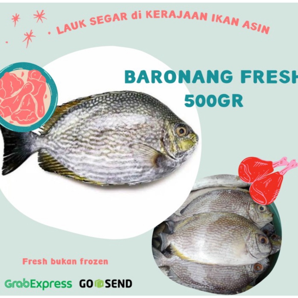 Jual Ikan Baronang Fresh Gr Shopee Indonesia