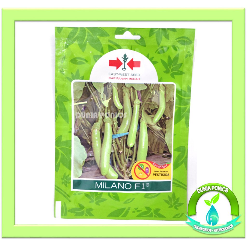 Benih Terong Hijau MILANO F1 Panah Merah Kemasan Asli 400 Butir