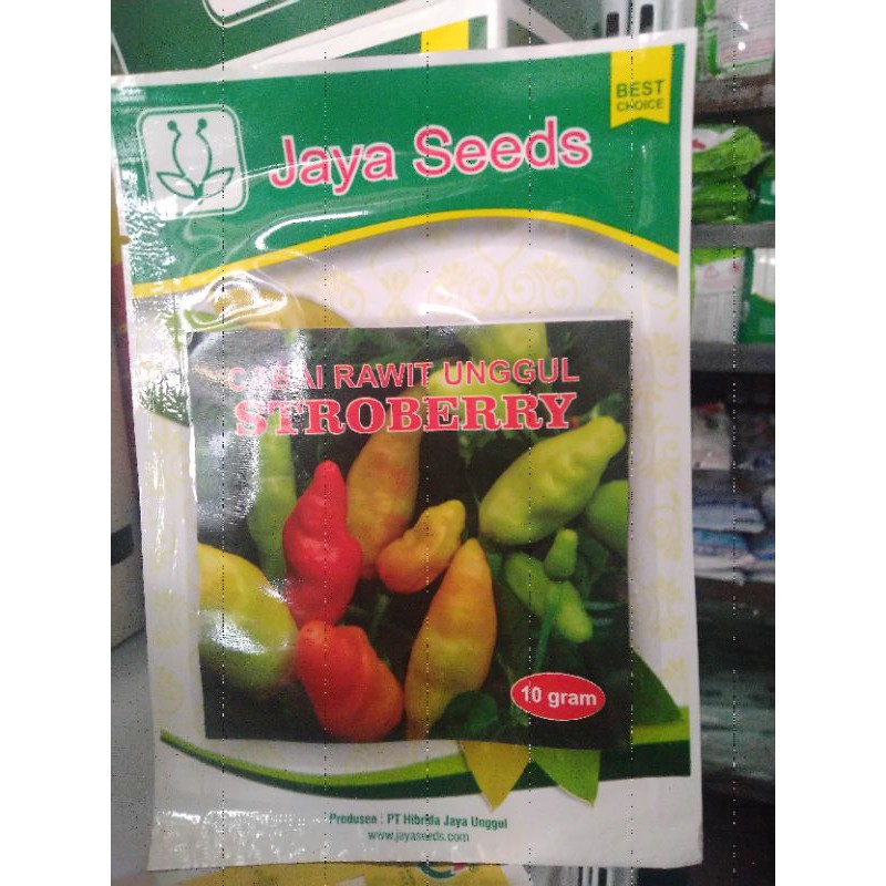 BENIH BIBIT STROBERRY JAYA SEED 10GRAM/BENIH BIBIT CABAI CABE RAWIT UNGGUL/