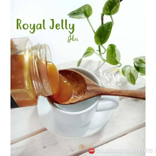 

Royal Jelly Plus Al Kautsar Kualitas Premium Bergaransi (tanpa box)