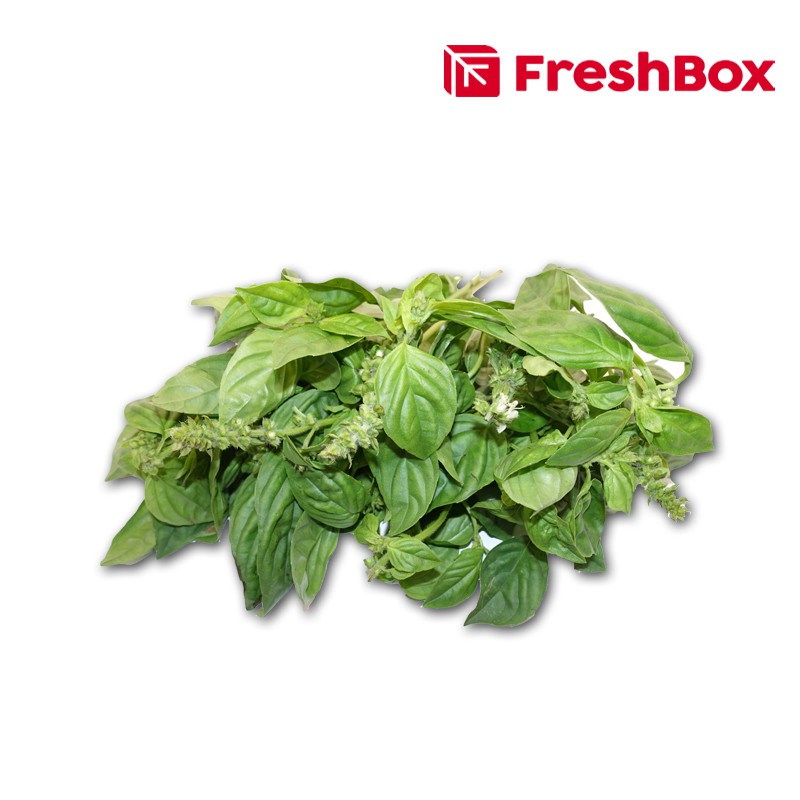 

Basil 100 gr FreshBox